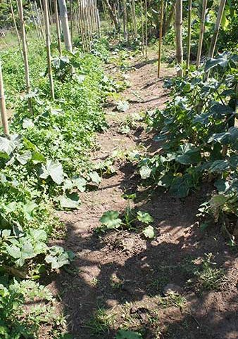 sitio-mutua-2016-2017-v2